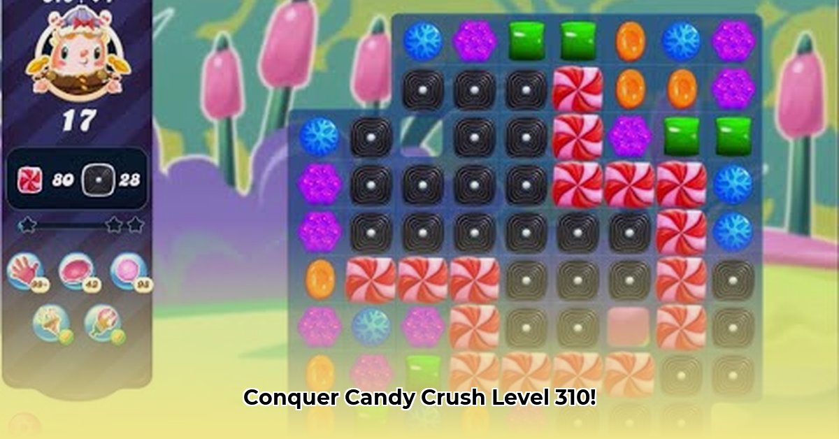 candy-crush-saga-level-310